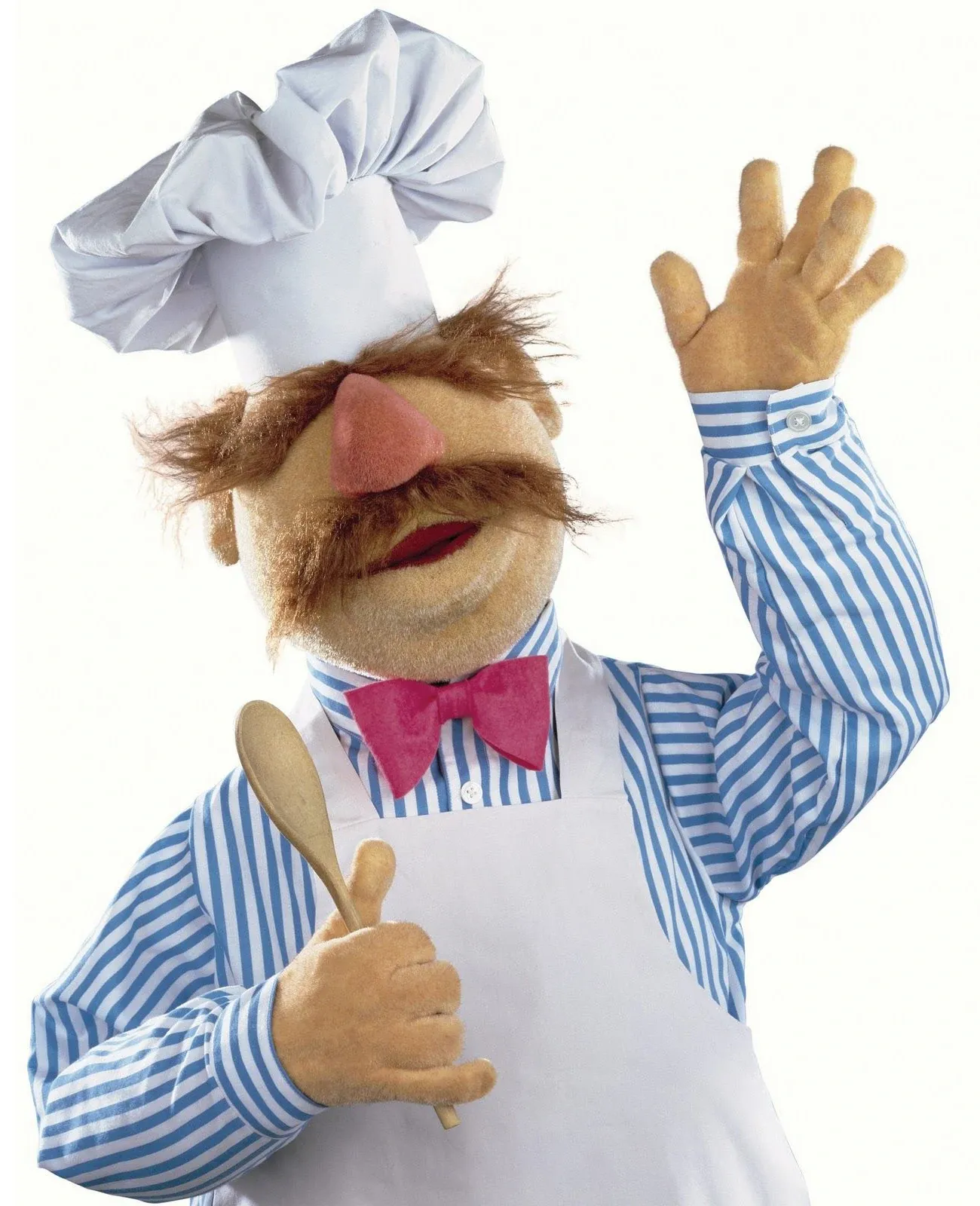 The Swedish Chef, standing in for a photograph of me